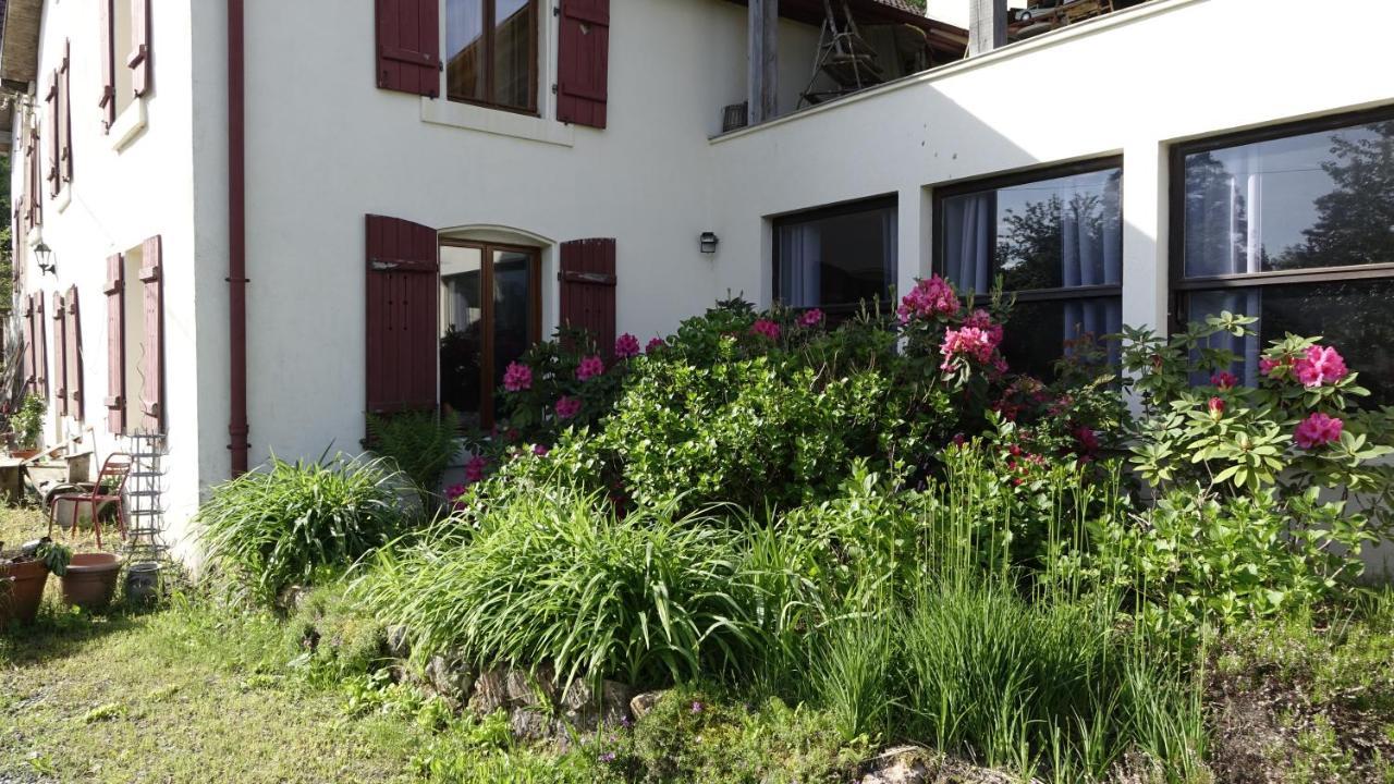 Bed and Breakfast Le Jolis Bois Raon-lʼÉtape Exteriér fotografie